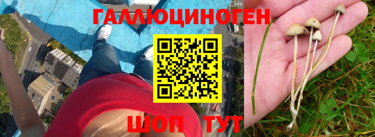 Ртищево  Псилоцибиновые грибы Magic Shrooms  Галлюциногенные грибы ЛСД  Вход с VPN 