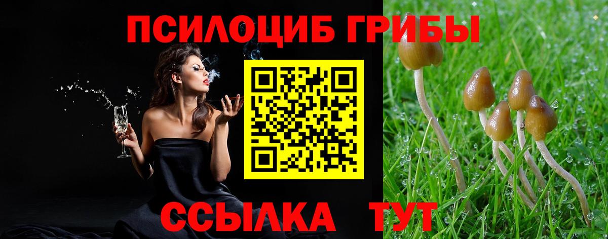 Галлюциногенные грибы ЛСД Ртищево